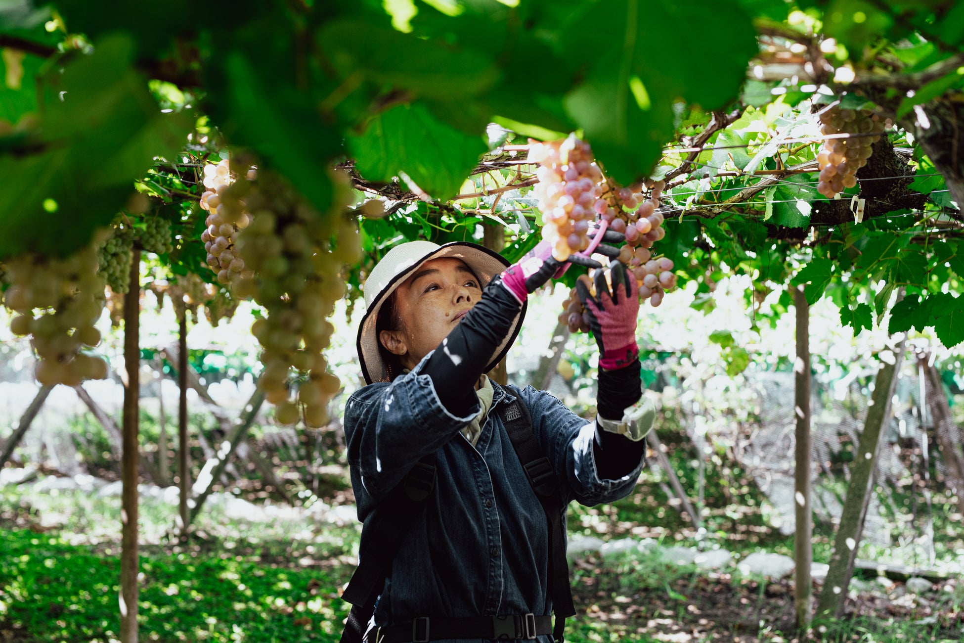 自社キャラクターを通じて日本の伝統飲料「ラムネ(RAMUNE)」を世界196ヶ国へ