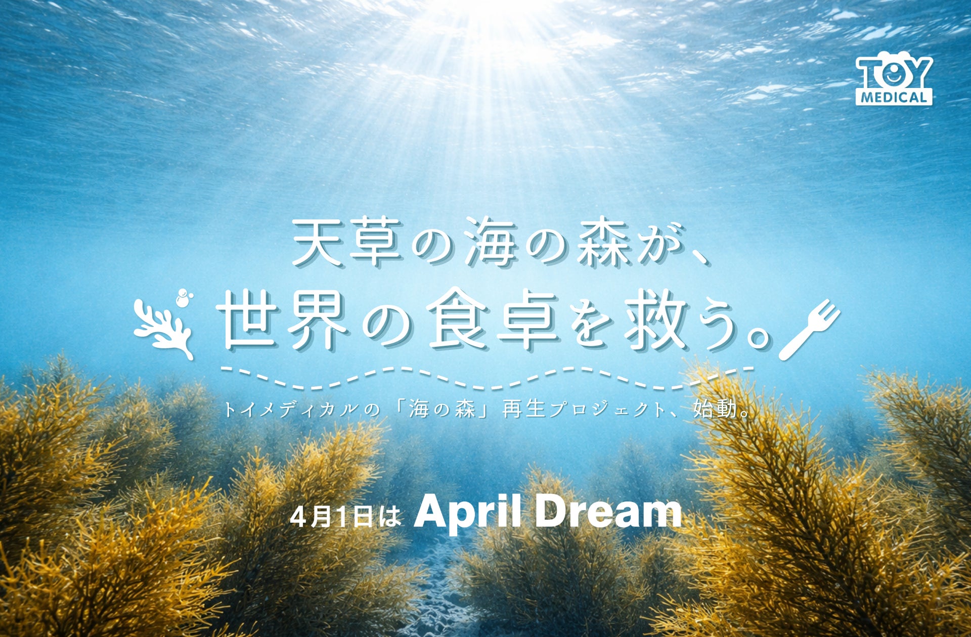 天草の「海の森」が、世界の食卓を救う。