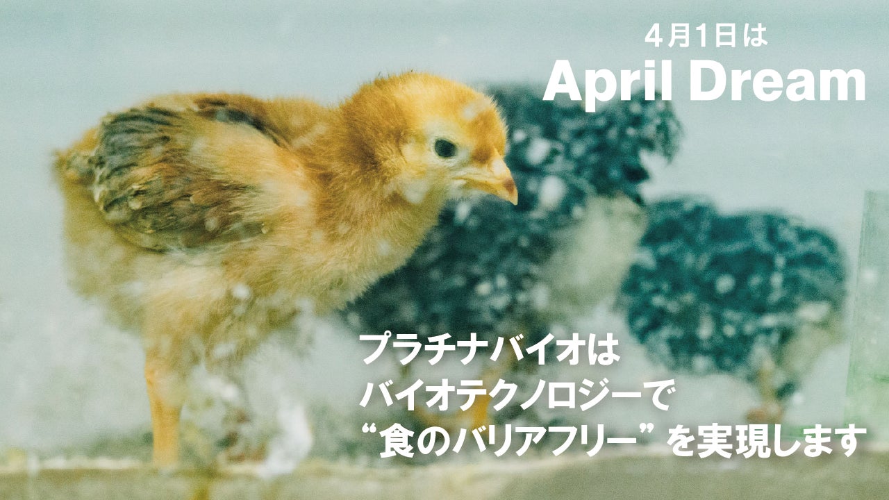 ベトナムの春の新茶を現地リゾートで味わう伝統茶会を4月26日に開催 —Tea Retreatという新たな滞在体験の実現への第一歩