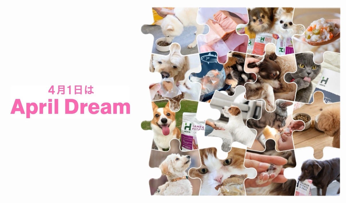 【April Dream】大切な家族に、人と同じ基準で選べるごはんを。