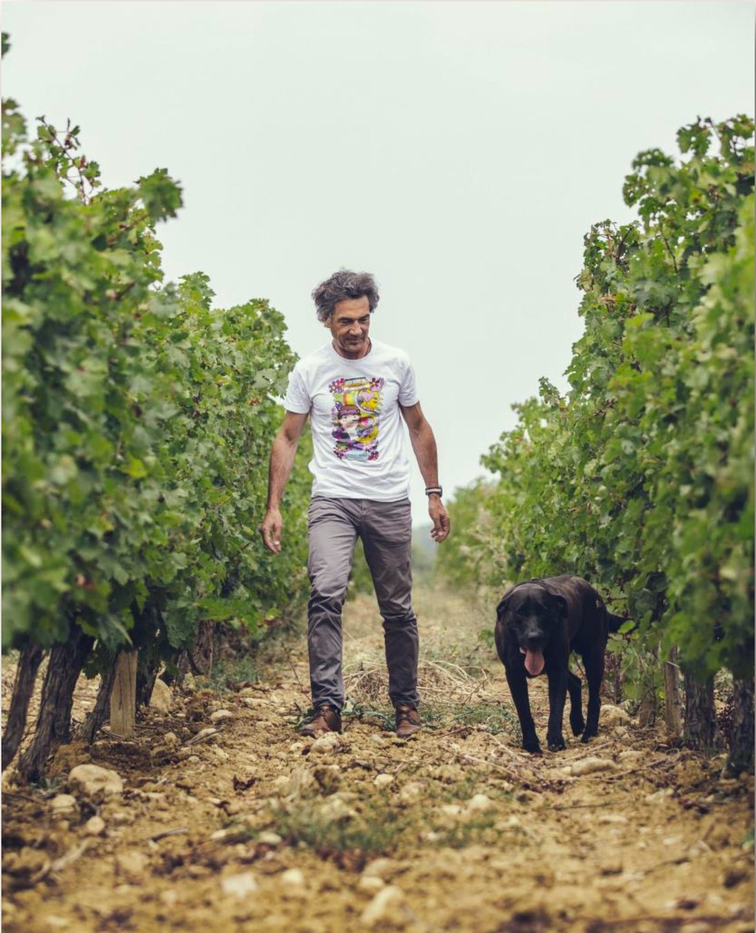 南仏ラングドックのスターワイナリー「ドメーヌ・ポール・マス」、3商品が新たに有機JAS認証取得