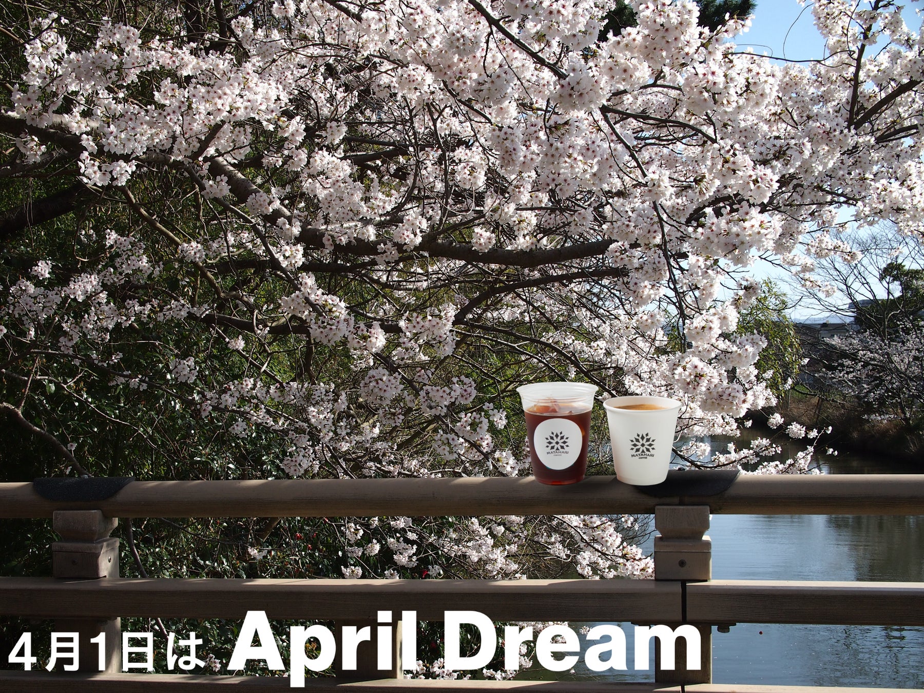 松江城周辺の魅力を高めるコーヒースタンドを。MATAHARI COFFEEが描く松江の未来