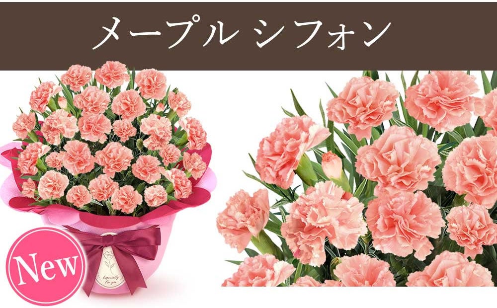 【2026年新色発売！】母の日ギフトは“選ぶ時代”へ　15色のカーネーション×スイーツ自由組み合わせの新提案