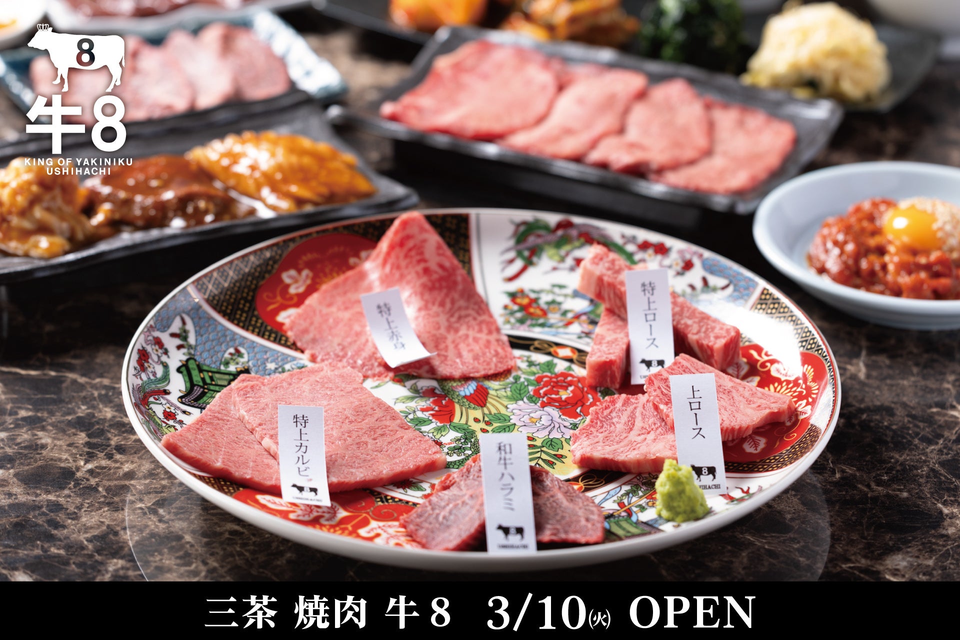 【札幌・エイトカリィが10周年】不動のNo.1メニュー「手仕込みハンバーグカレー」を500円で提供！これまでの感謝を込めた大還元祭を開催