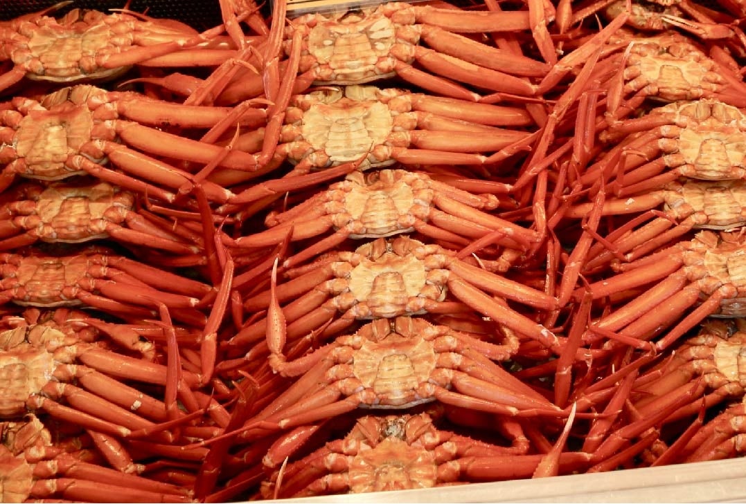 【今季食べ納め！】富山・能登の「旬」が結集。希少な紅ズワイガニ食べ放題＆能登牡蠣のガンガン焼きを楽しめる『カニとカキの直売所』が4月4日より期間限定オープン！