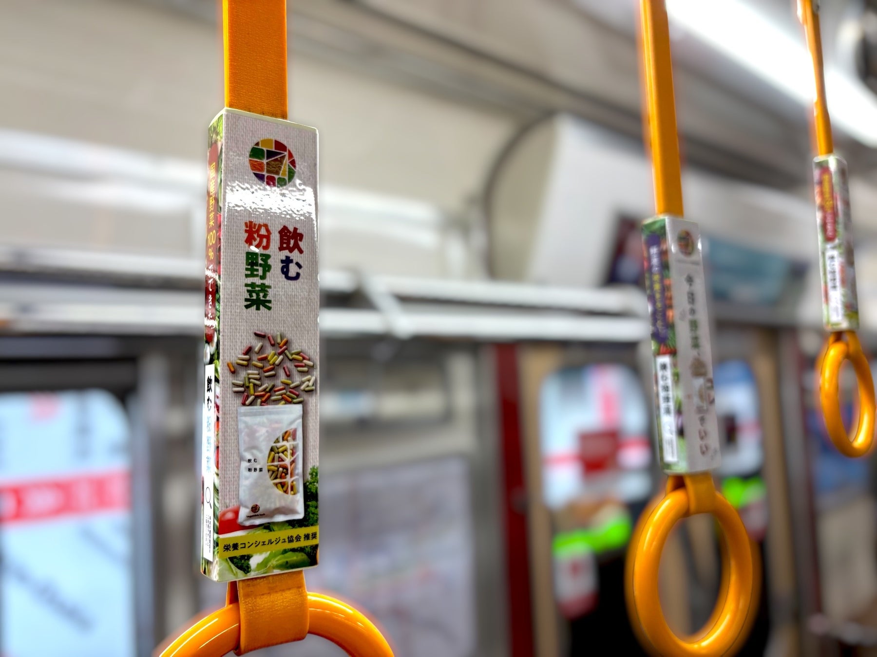 「野菜を持ち運ぶ」時代へ。ベジタブルテック、Osaka Metro御堂筋線で車内吊り革広告を開始！連動して「第2回ピースフード大学」を2026/4/17(金)に開催　～気づきを学び・行動へとつなげる～