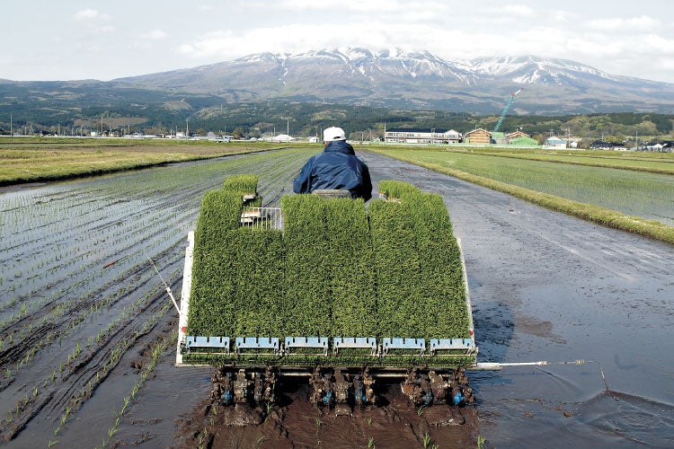 お米のホントと田んぼのリアルを知る「水田政策とお米の価格問題を考える 6生協合同学習会」4/11（土）開催