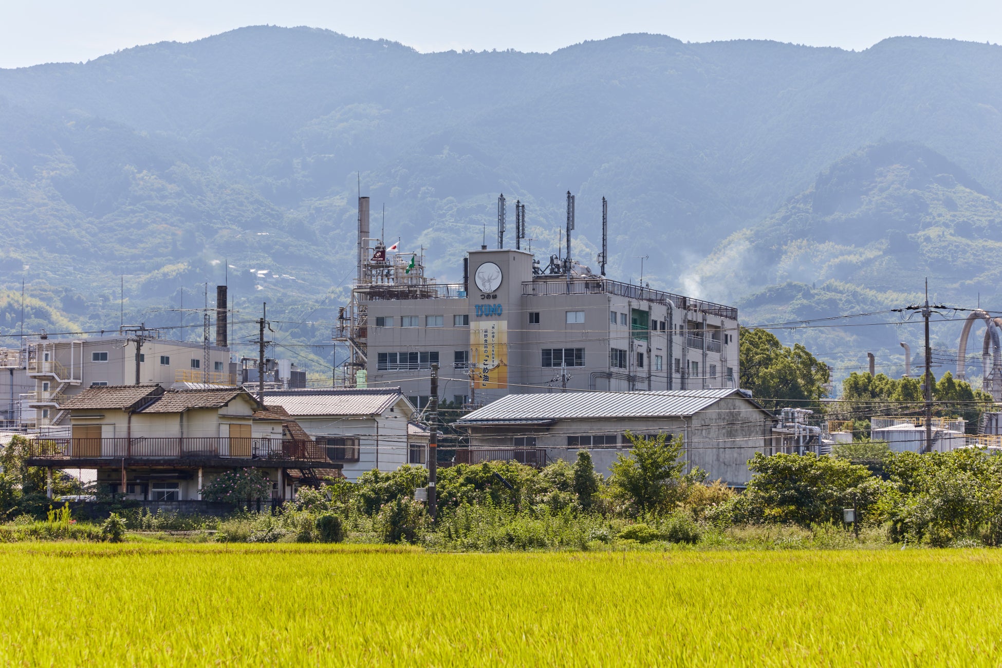 福島大学と築野食品工業が共同研究　米ぬか由来成分が油脂中の香りを保つ効果を確認