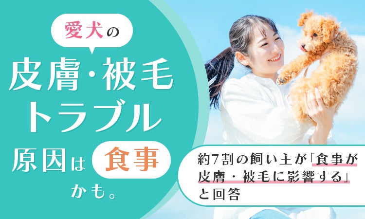 愛犬の皮膚・被毛トラブル、原因は”食事”かも。約7割の飼い主が「食事が皮膚・被毛に影響する」と回答