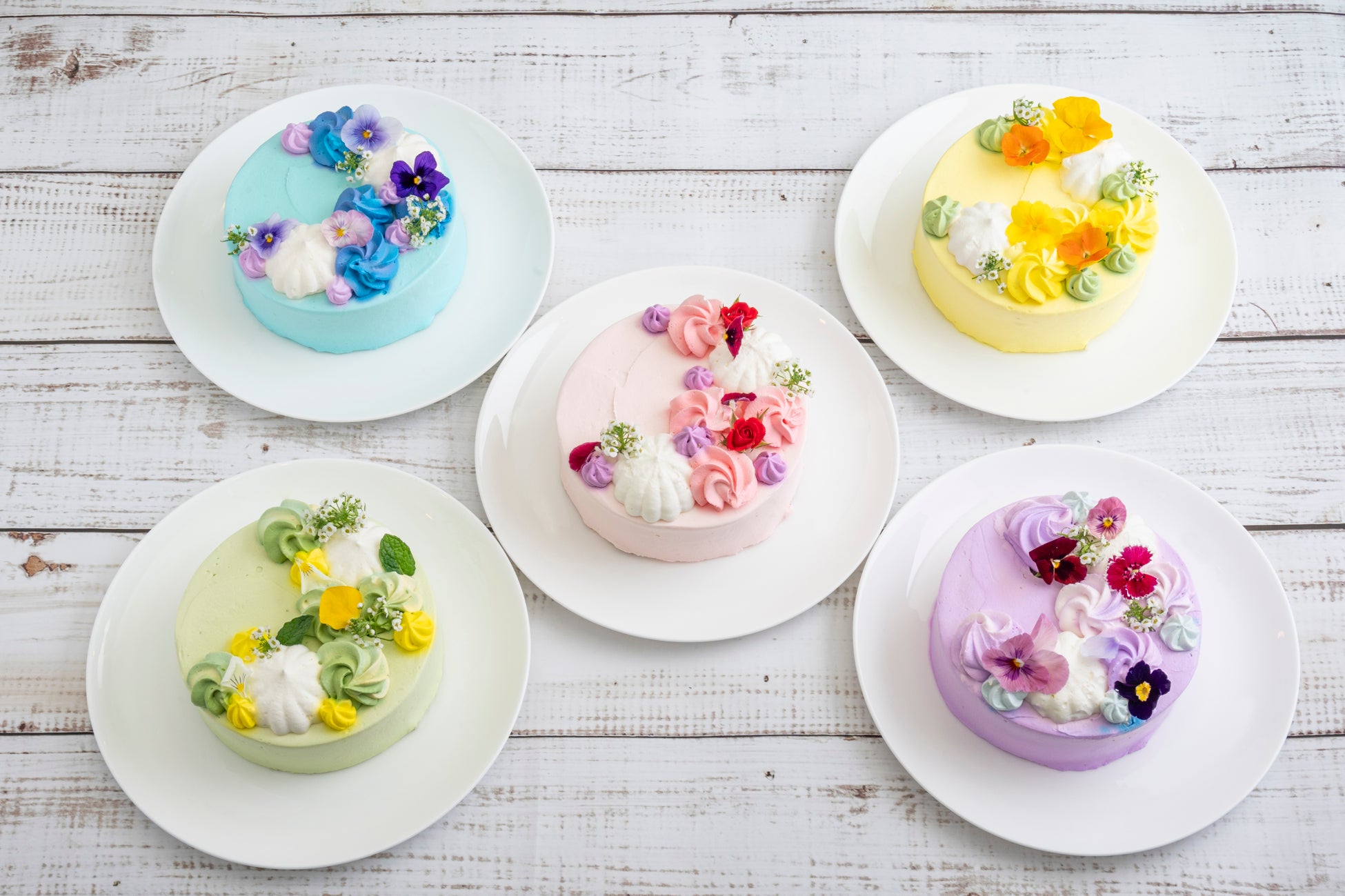 ”お母さまの好きな色で感謝を伝える” 渋谷の空で楽しむ新しい母の日のご提案　選べる5色ケーキで祝う母の日フレンチ 「母の日コース ～Merci Maman 推しカラーケーキセレクション～」