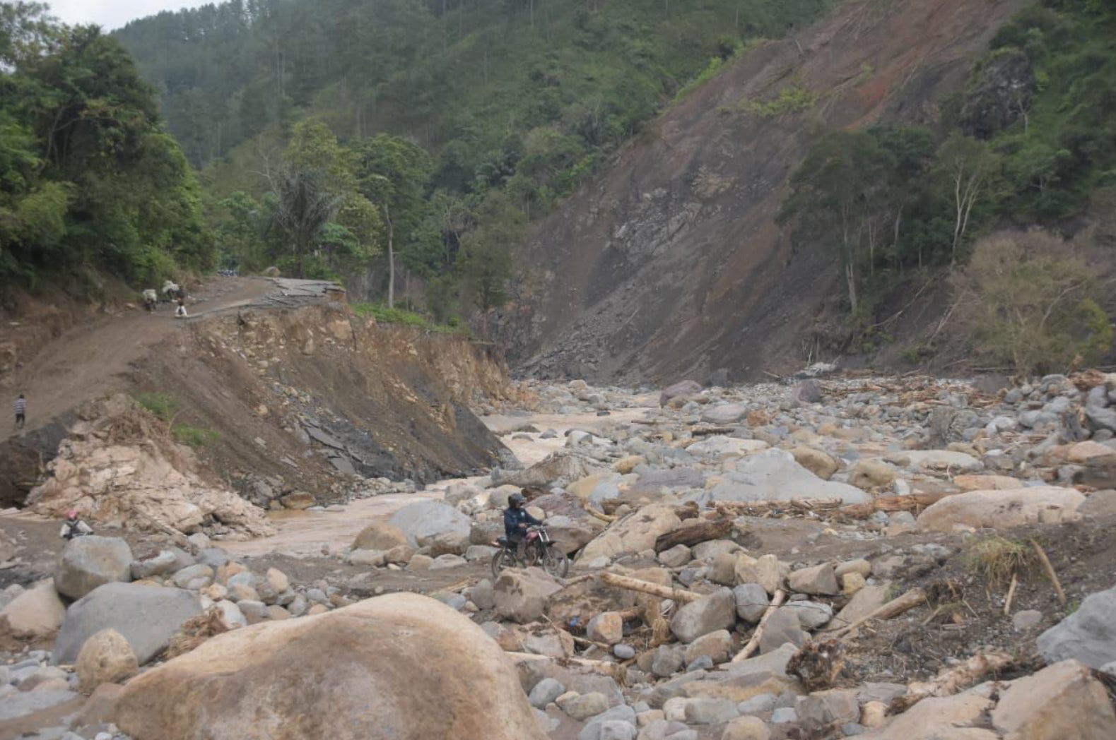 1アクション＝1円で被災地を支援。コーヒーや紅茶など、日本の食卓を支える国々の災害復興とフェアトレード産地の再生へ。国内最大規模の気候変動キャンペーン、寄付先を決定