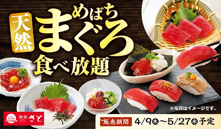 和食さと 「天然めばちまぐろ食べ放題」が4/9(木)からスタート!!