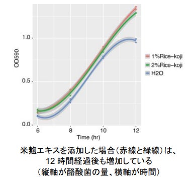 【AuB論文発表】米麹が腸内の善玉菌を増やすメカニズムを解明 α-アミラーゼが増殖のカギ