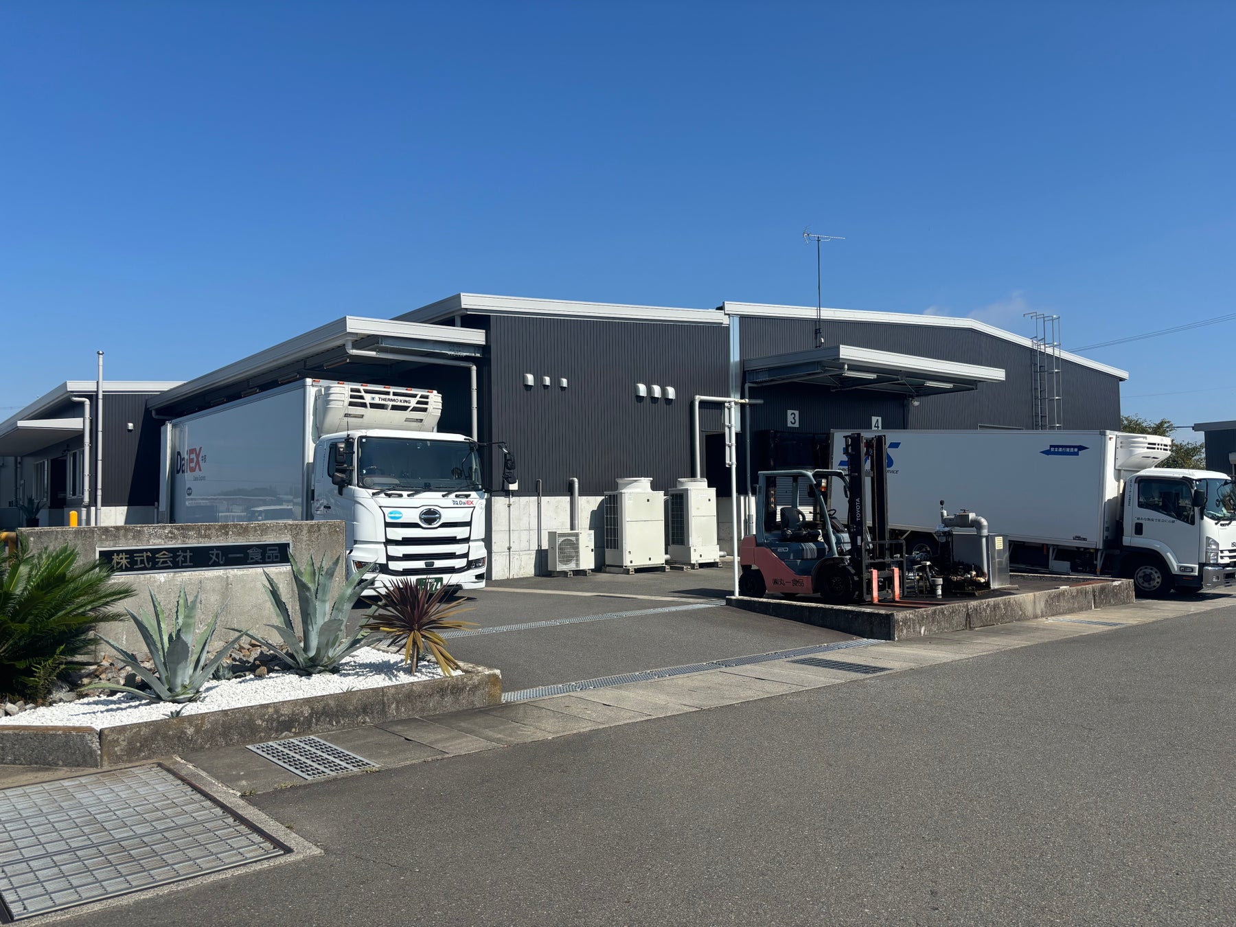 「もやし工場で“わさび”を生産？」食品工場の常識を覆す新プロジェクト始動