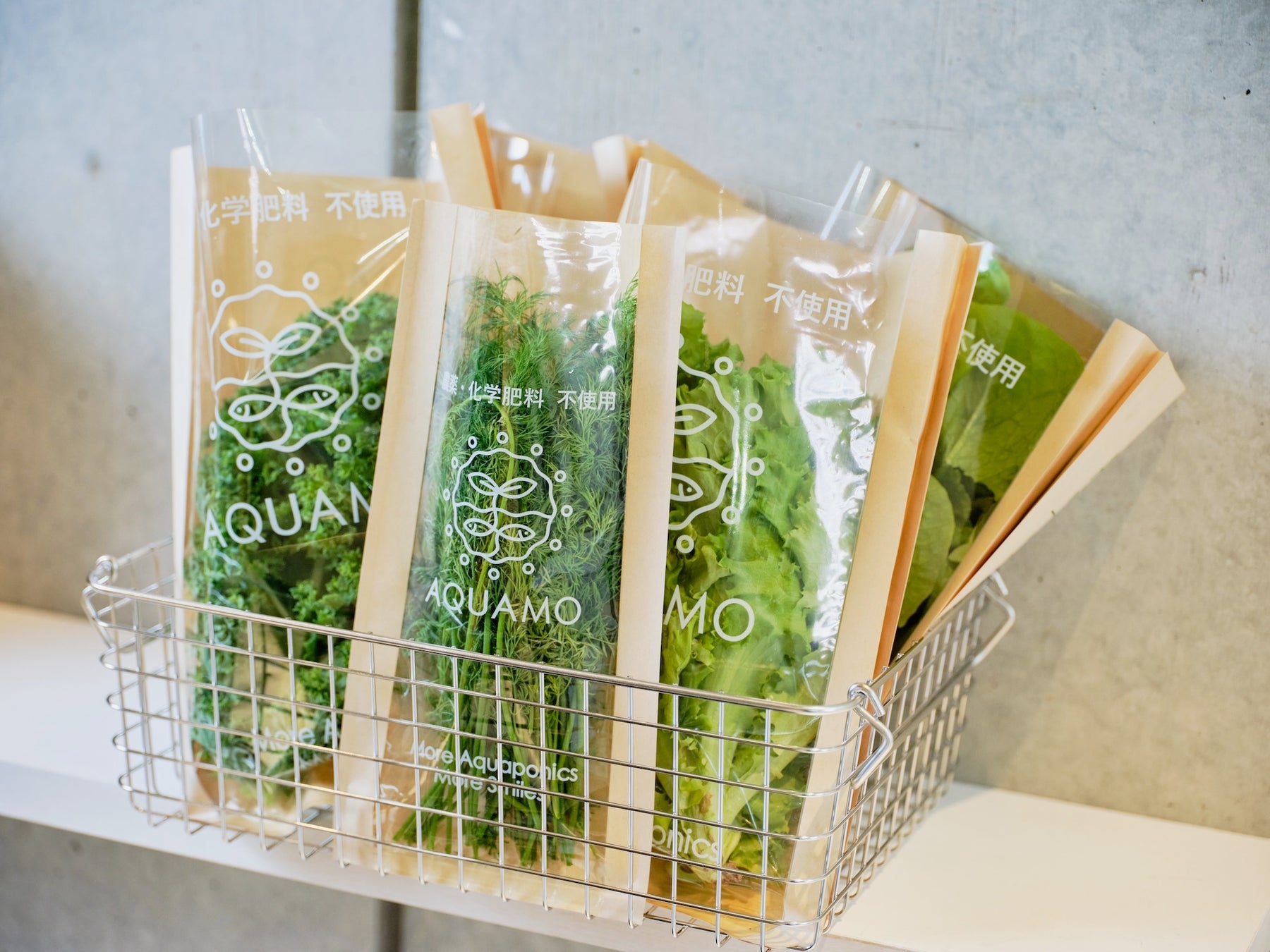 アクポニ、循環型農業「アクアポニックス」産野菜を虎ノ門で販売開始