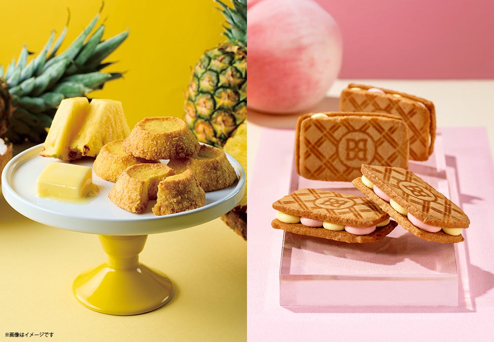 これから迎える暑い季節、食欲がない日でも続く。“スーププロテイン” という新習慣。SOU+YOU コーンスープ風味が「ジャパン・フード・セレクション」グランプリ受賞!!