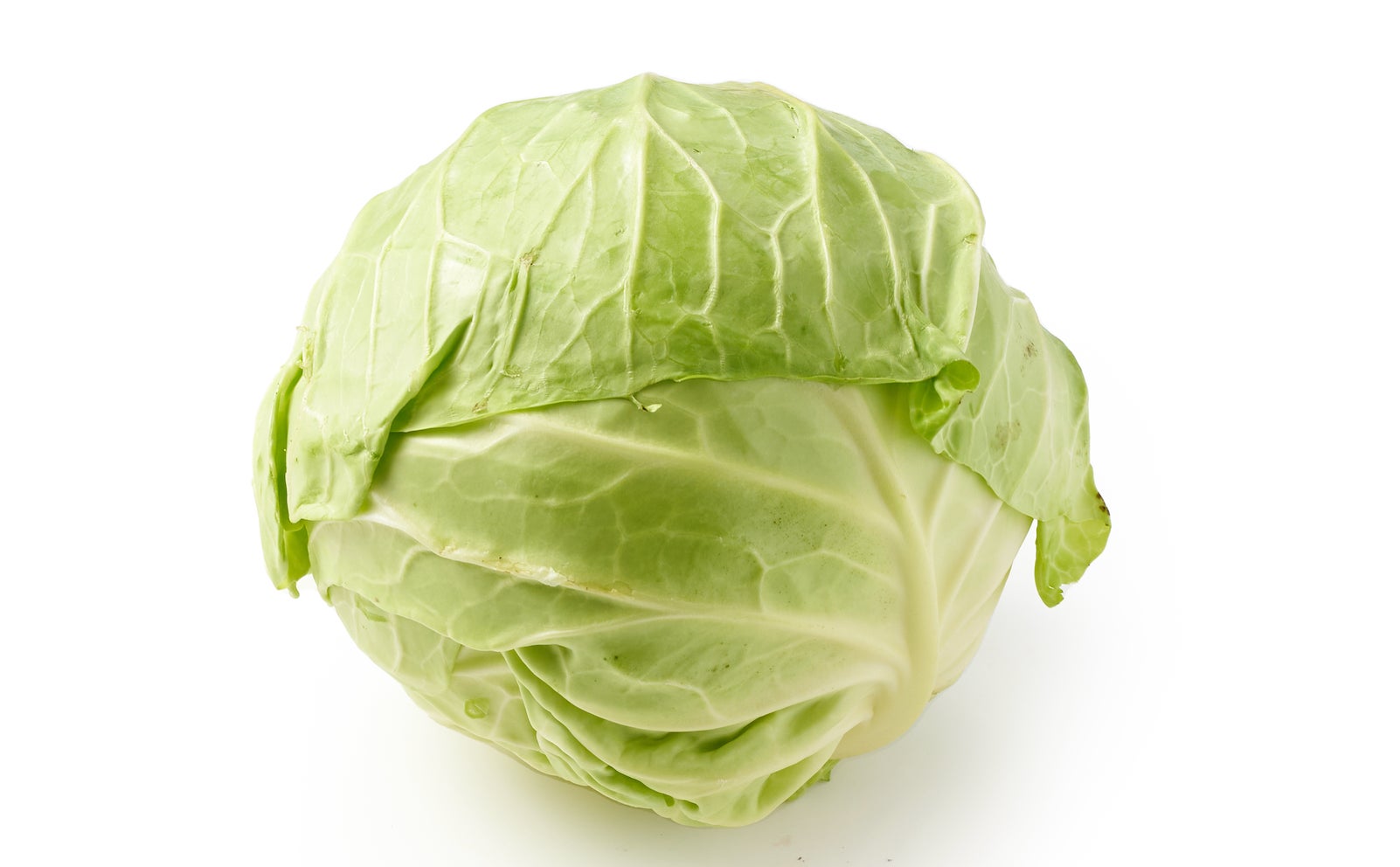 米由来マイコプロテインComeat®使用「完全菜食担々麺」、「NEO新宿アツシ」の人気No.1メニューに