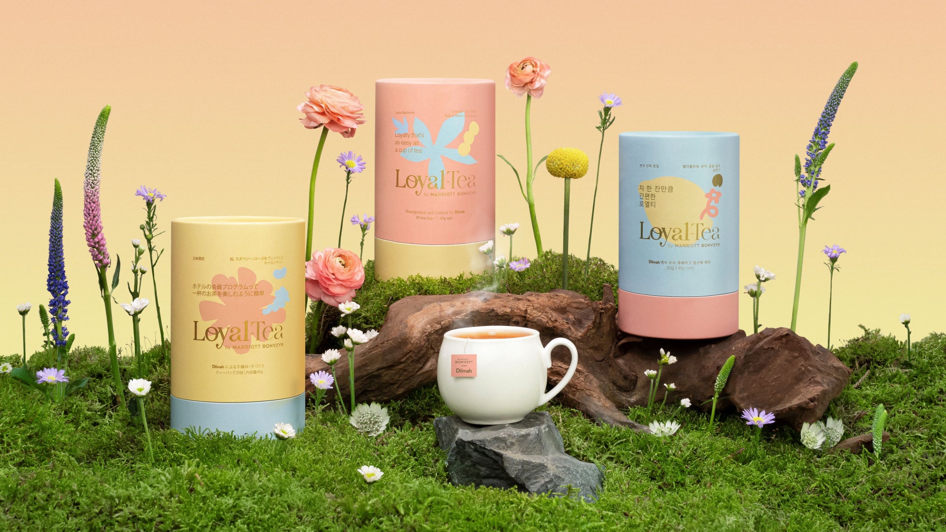 ロッテの商品開発手法で「創造的思考力」を育む独自プログラム　小学校への出張授業、2026年度の募集を開始