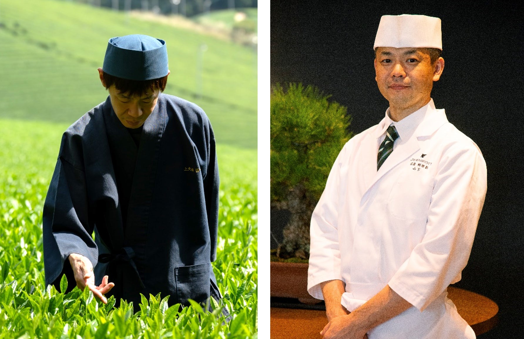 【JWマリオット・ホテル奈良】～奈良・月ヶ瀬「上久保茶園」との特別コラボレーション～　新茶シーズン到来　自ら摘んだ新芽を味わう体験型会席ランチを開催