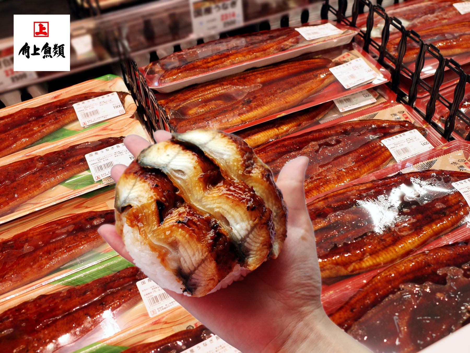 【角上魚類】春も土用の丑の日？夏だけじゃない！新生活の疲れが出る今こそ“うなぎ”の出番。手のひらからはみ出す「特大うなぎおにぎり」も待望の再登場！