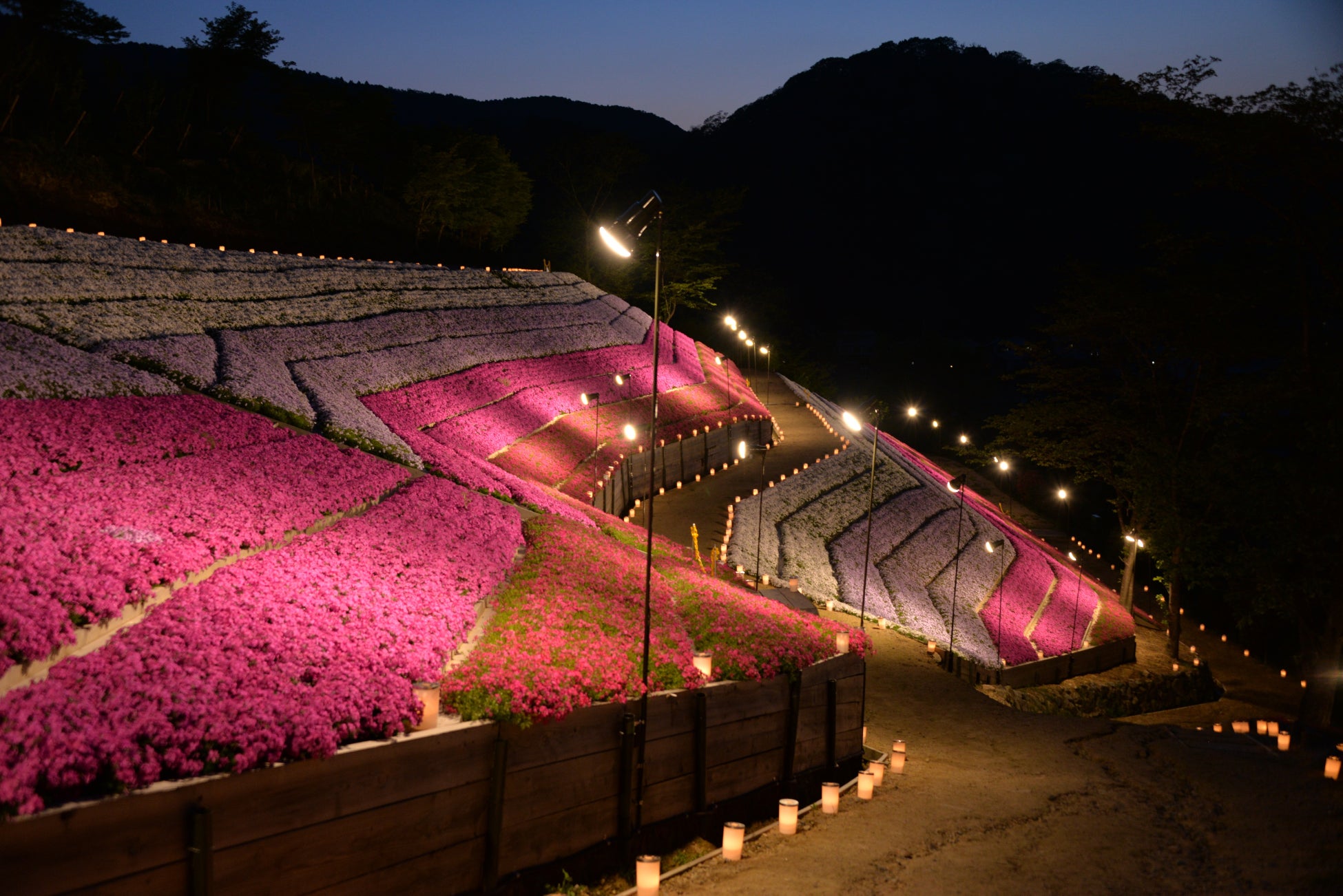 【恵那 銀の森】新緑あふれる森で癒しのひと時を｜GWイベント「GINNOMORI WEEK」開催