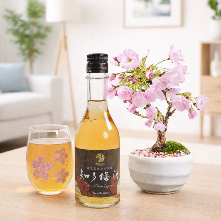 最先端の音楽が共鳴する「KOBE MELLOW CRUISE 2026」。音楽・アート・ファッションが融合した唯一無二のフェスペアチケットを、X限定キャンペーンで手に入れろ！