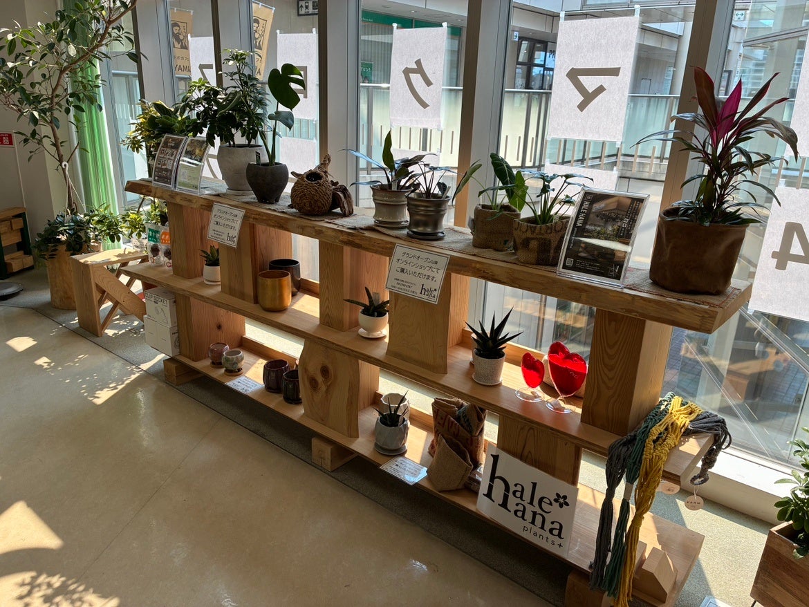 【期間限定】名古屋で「天然マグロの中トロ」が食べ放題に!海鮮とおでん おすすめ屋 名駅4丁目店で開催!