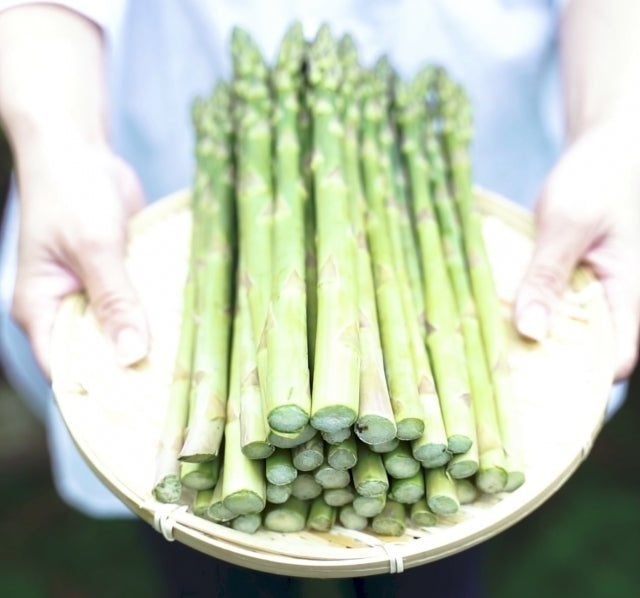 【福島・会津地方より産地直送】甘くやわらかな旬の味覚「アスパラガス」販売開始。希少なホワイトアスパラも登場