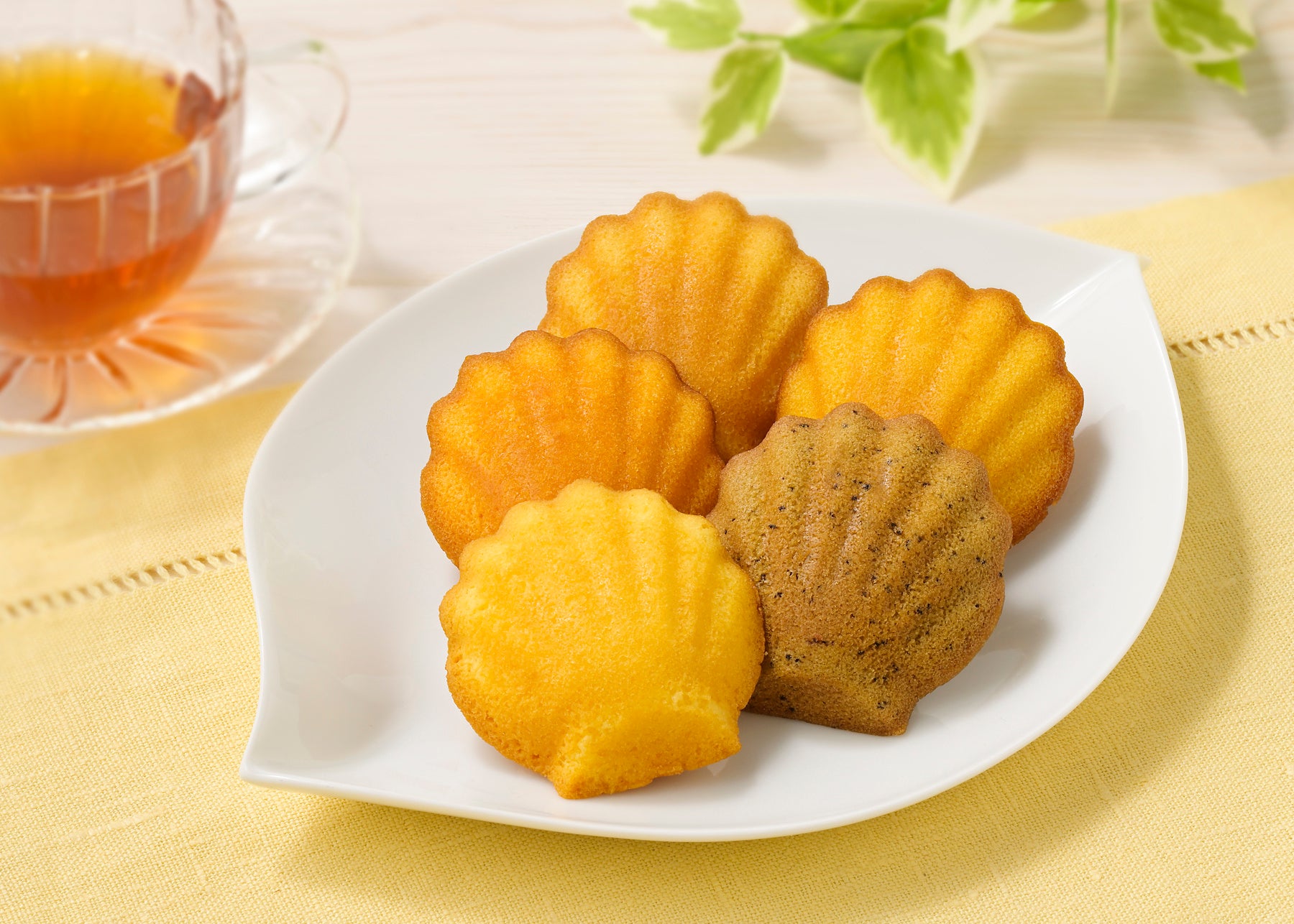 【銀座コージーコーナー】国産素材にこだわった、夏季限定のマドレーヌアソート。4月20日から登場！