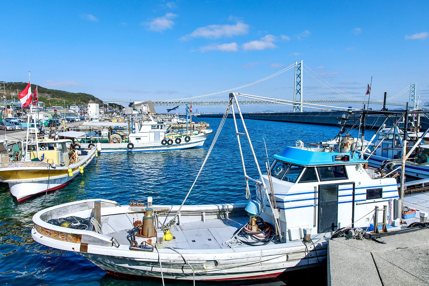 2026年4月25日（土）。淡路サービスエリア下り線レストラン「ロイヤル」より、「淡路島産生しらす」使用の期間限定メニュー「淡路産生しらすと釜揚げしらすの味わい食べ比べ丼」新登場！！