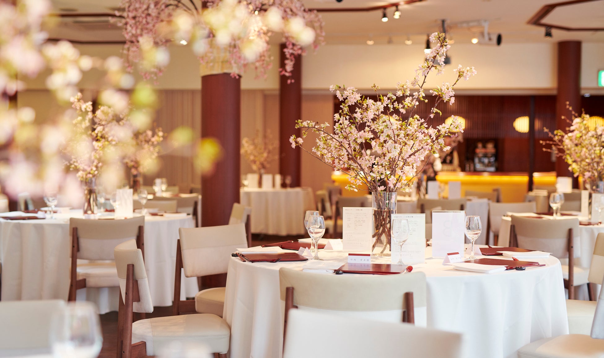 【札幌】1,000坪の日本庭園に桜が咲く6日間限定　創業80周年のエルムガーデン、琴の生演奏付きランチ会席を開催