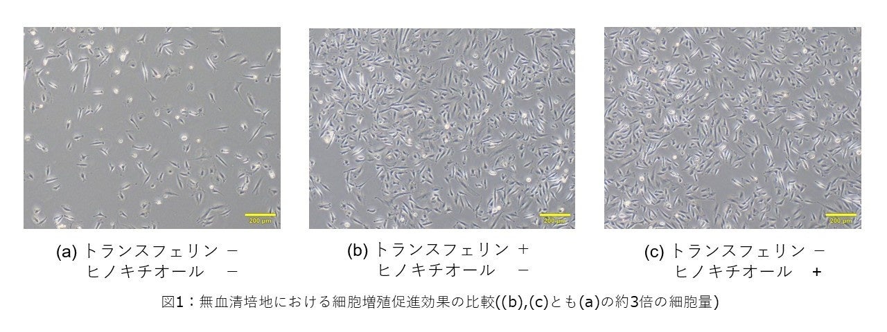 味の素㈱、細胞性食品※用培地のコスト削減に貢献する、植物由来の成分を活用した新技術を開発