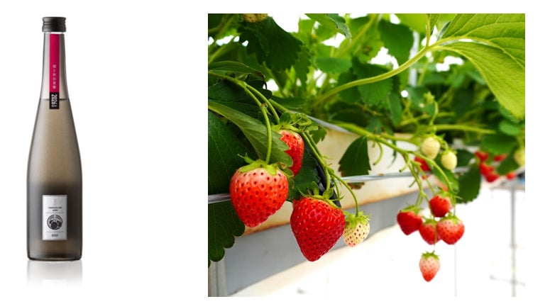 NTTアグリテクノロジーが手がける夏秋いちご「秋田夏響」とクラフトサケ醸造所「稲とアガべ」が初のコラボレーション