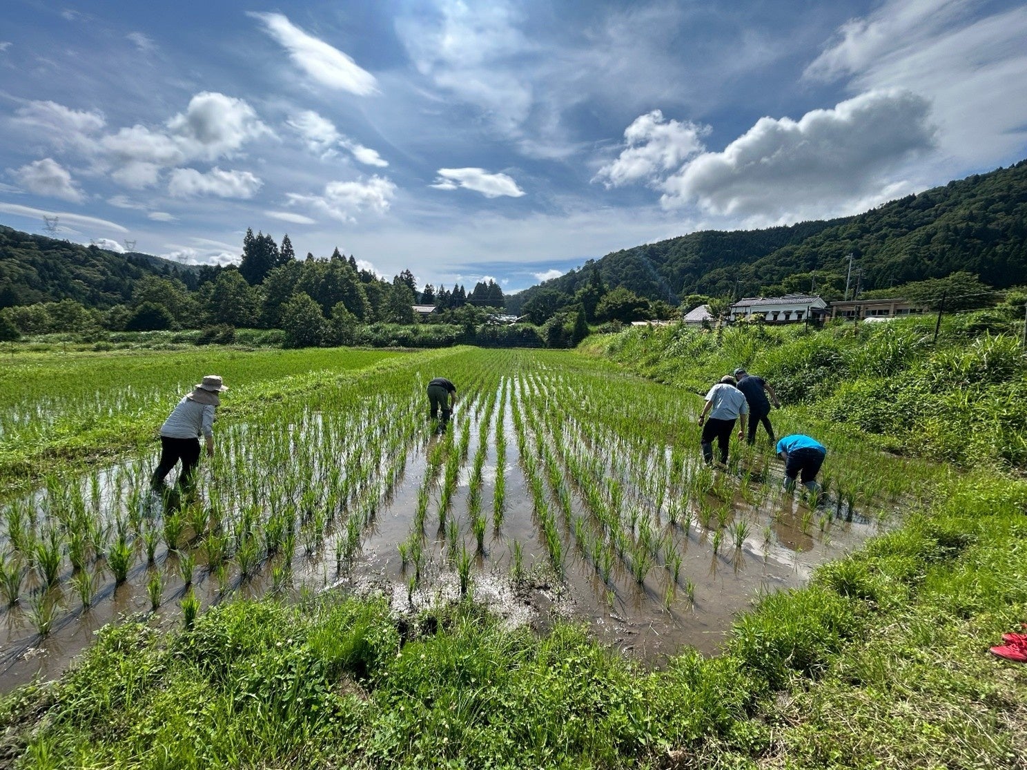 びわ湖の源流でデータを活用した未来の農業体験