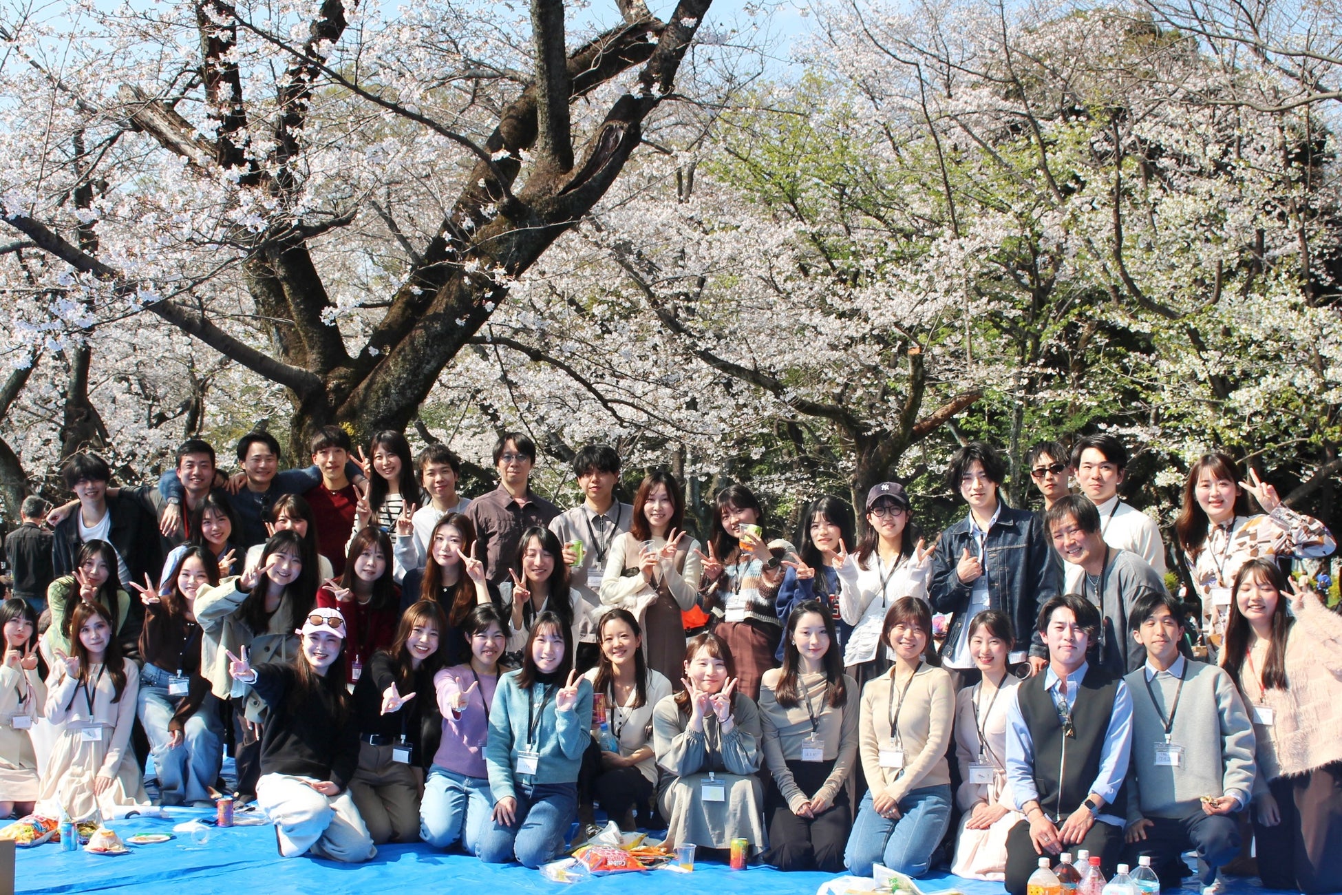 令和のコミュニティは“所属”ではなく“選ぶ”。食でつながる審査制グルメコミュニティ「IRO+（イロタス）」が20〜30代に選ばれる背景