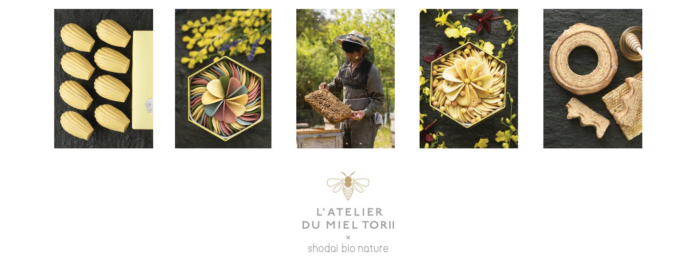 大阪・心斎橋に、蜂蜜とオーガニック洋菓子の新ブランド誕生【L’ATELIER DU MIEL TORII × shodai bio nature】