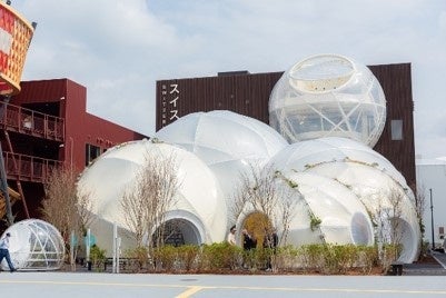 ホテルマイステイズプレミア成田  “その日一番の食べ頃メロン”を好きなだけ味わう贅沢体験