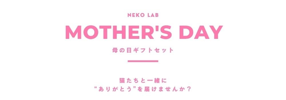 【母の日まだ間に合う】今選ばれている人気ギフトTOP3を紹介