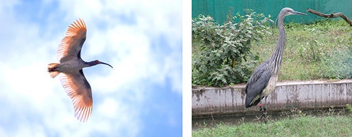 ≪2026年GW版≫名古屋で室内BBQするならここ！雨でも花粉でも楽しめる野並・栄の2店舗を徹底紹介。新メニューも登場！