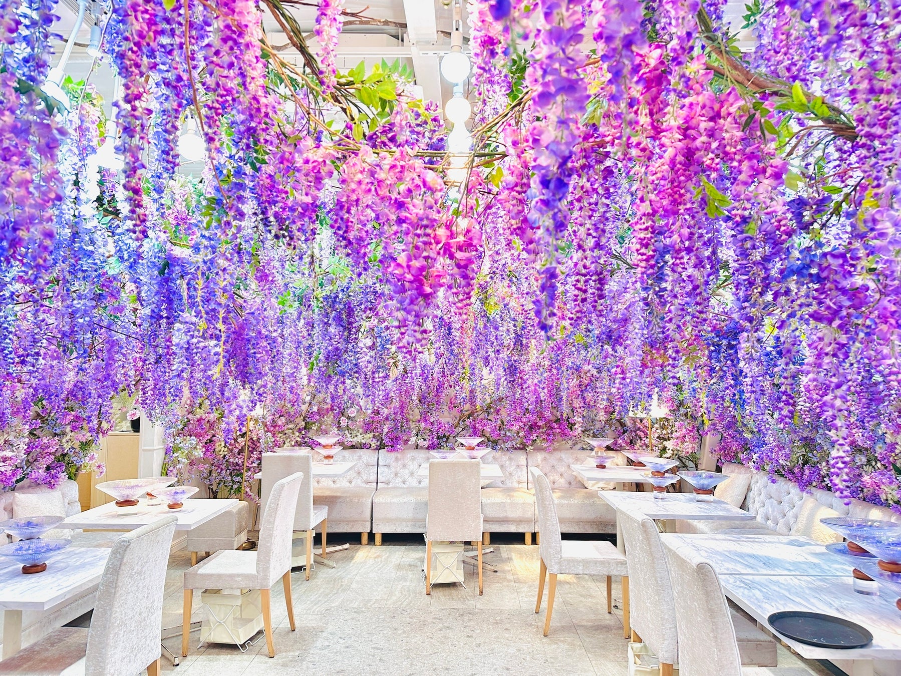 【HAUTE COUTURE CAFE 表参道】降り注ぐ3000本の藤の花に包まれながら楽しむ藤色尽くしのアフタヌーンティー　「Wisteria Fairy Garden Afternoon Tea」