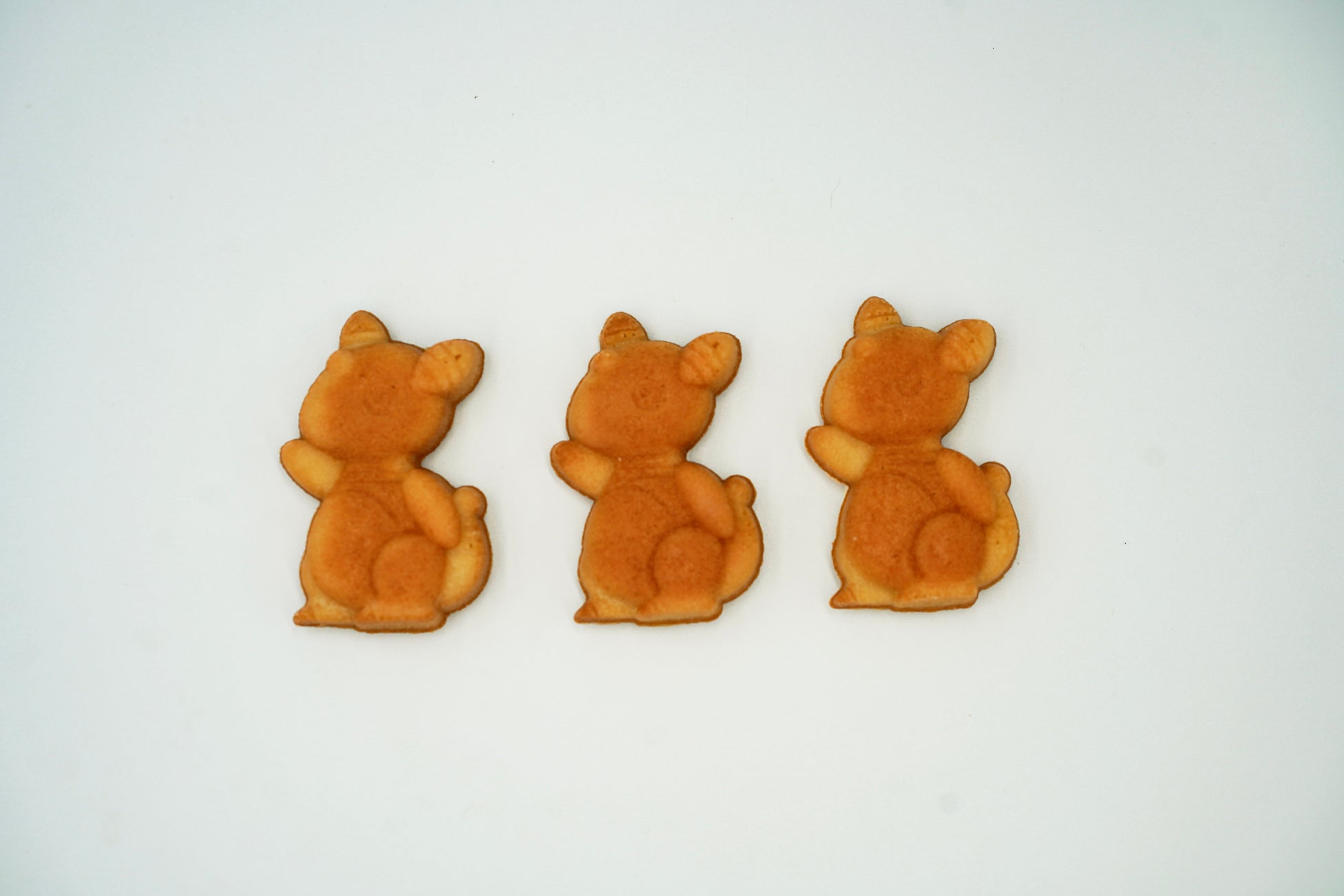 「ながさき未来応援ポケモン」　デンリュウをかたどった「デンリュウマドレーヌ」を発売 ― 五島から、新たな地域土産の提案 ―