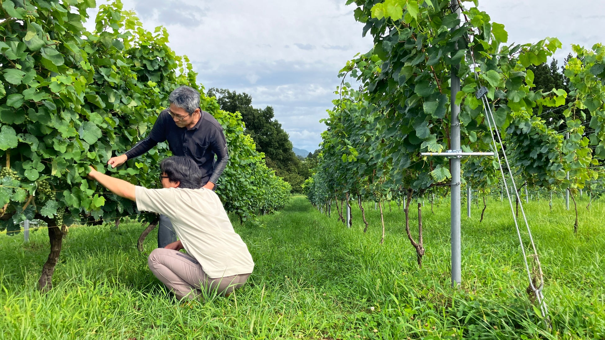 グリーン豆が“ベビースター味”に!?“グリーン豆入り”のベビースター!?垣根を超えた東海発のロングセラー同士が夢コラボ!!組み合わせが楽しい「グリーン豆」×ベビースター