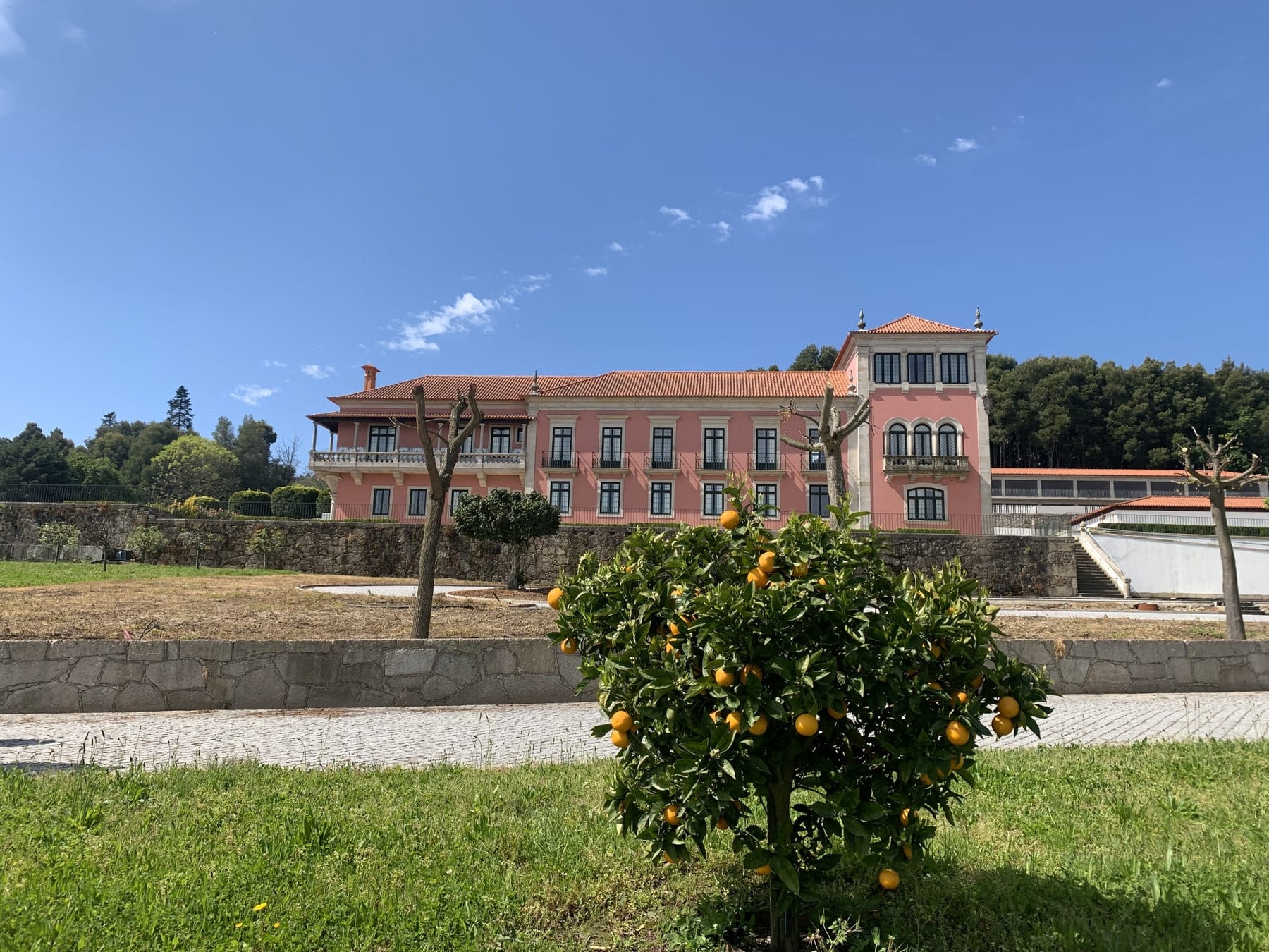 【GW・日曜祝日限定】東京都内で沖縄旅ランチ、『はりくやまく』で沖縄グルメを食べ尽くすランチと昼飲み！泡盛生ビール20種飲み放題の提供開始