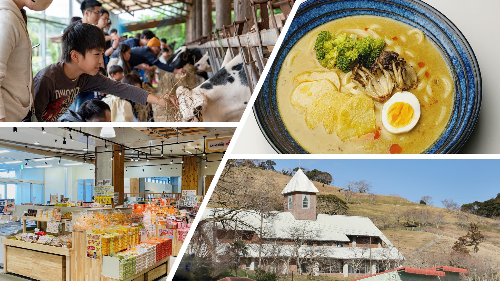 ＜森永乳業×近畿日本ツーリスト×南房総市観光協会＞日本酪農発祥の地・千葉県南房総で「牛乳月間記念　南房総ミルクツーリズム」2026年6月13日（土）実施