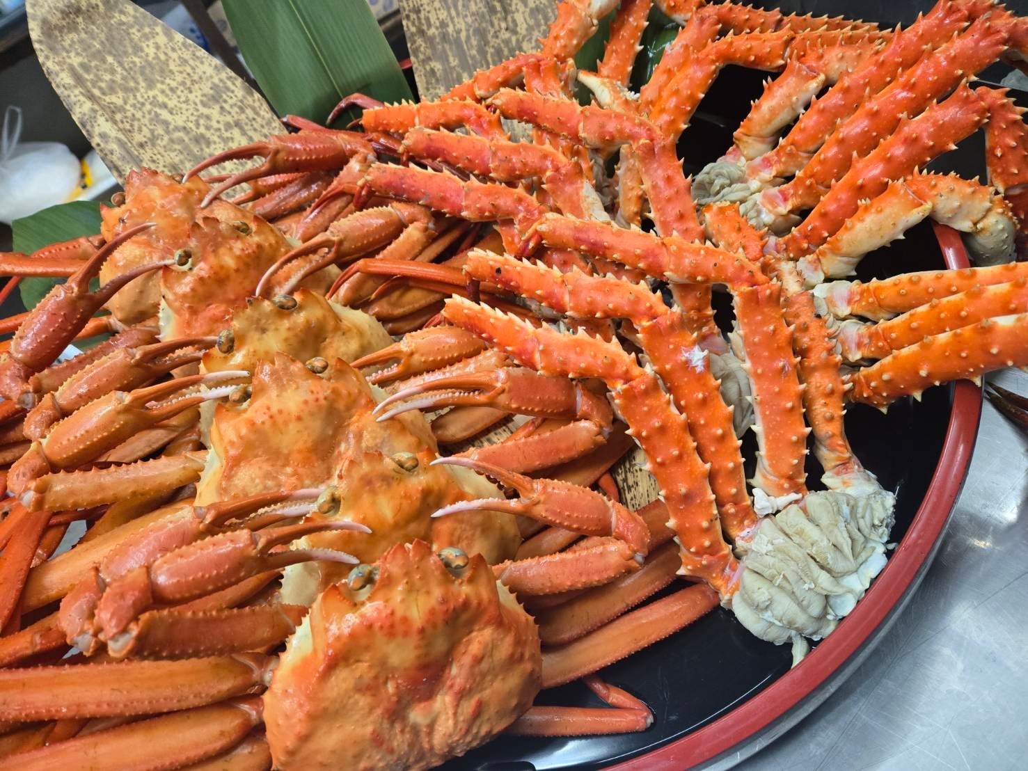 亀の井ホテル 九十九里  愛犬と泊まれるヴィラを好評につき2026年5月1日（金）より2棟増設