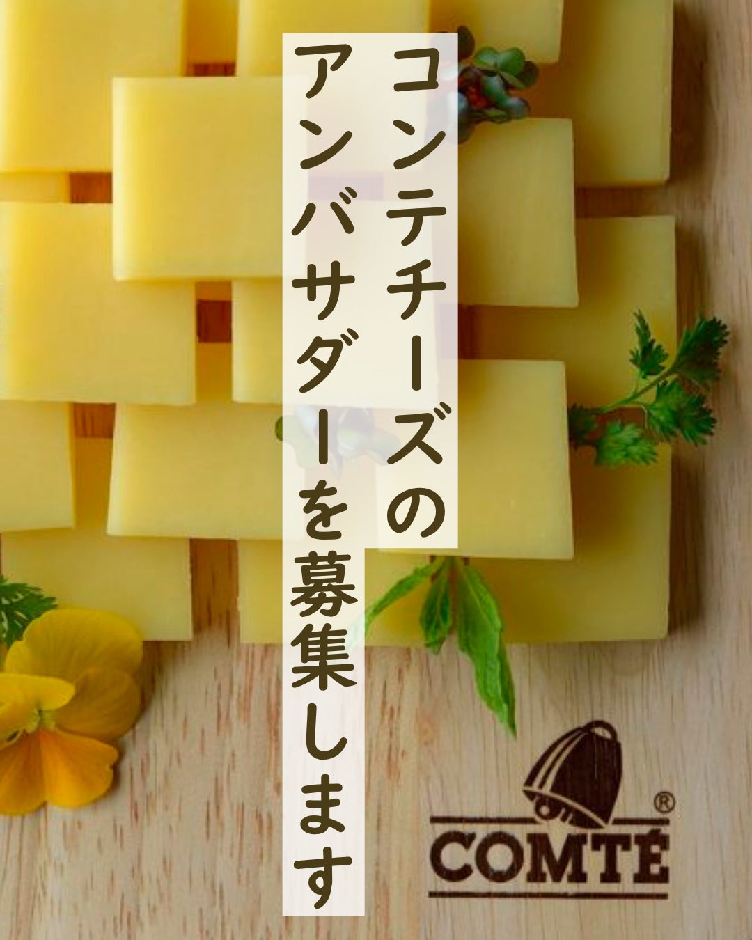 コンテチーズのアンバサダーを募集中！