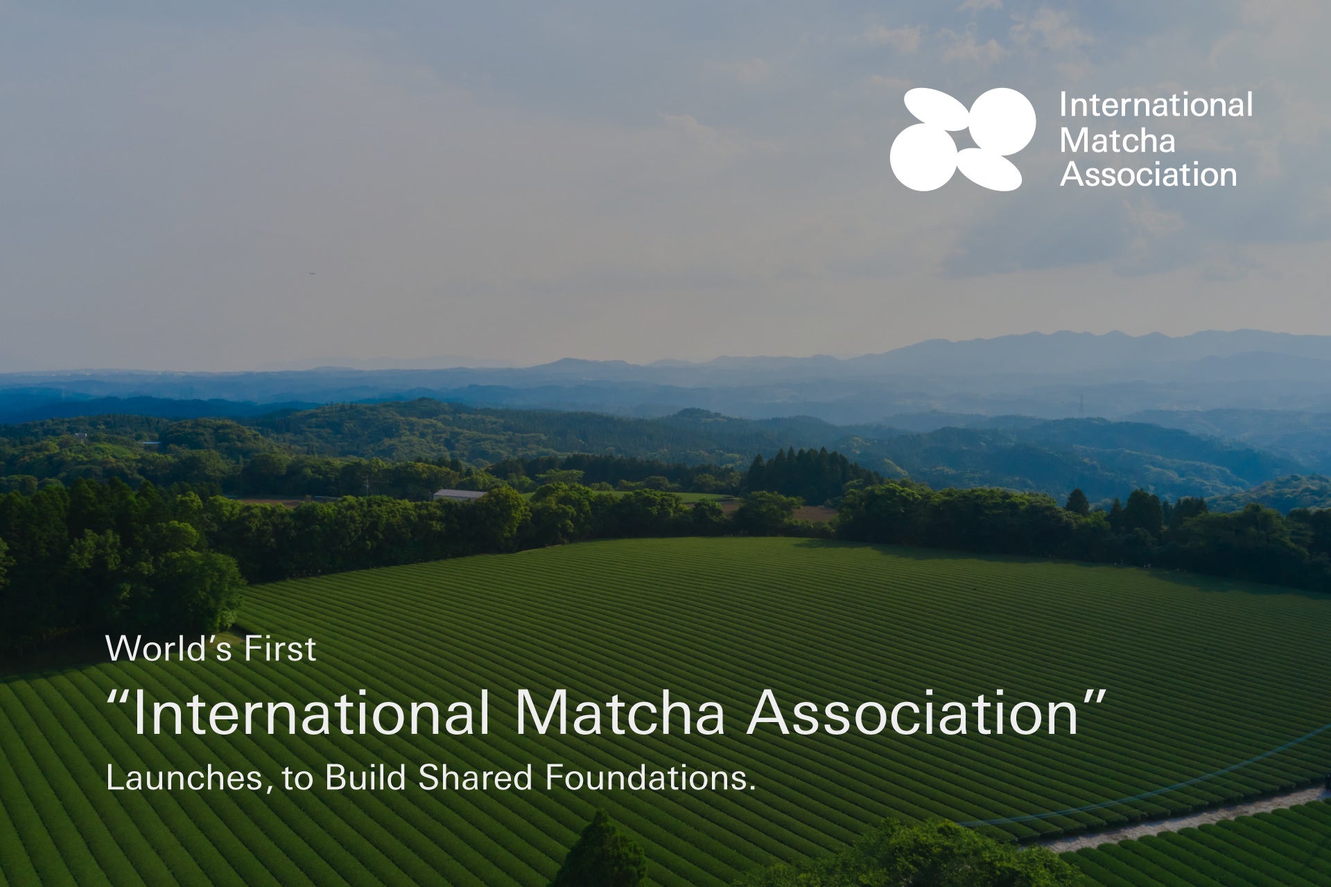 World’s First “International Matcha Association” Launches, to Build Shared Foundations.
