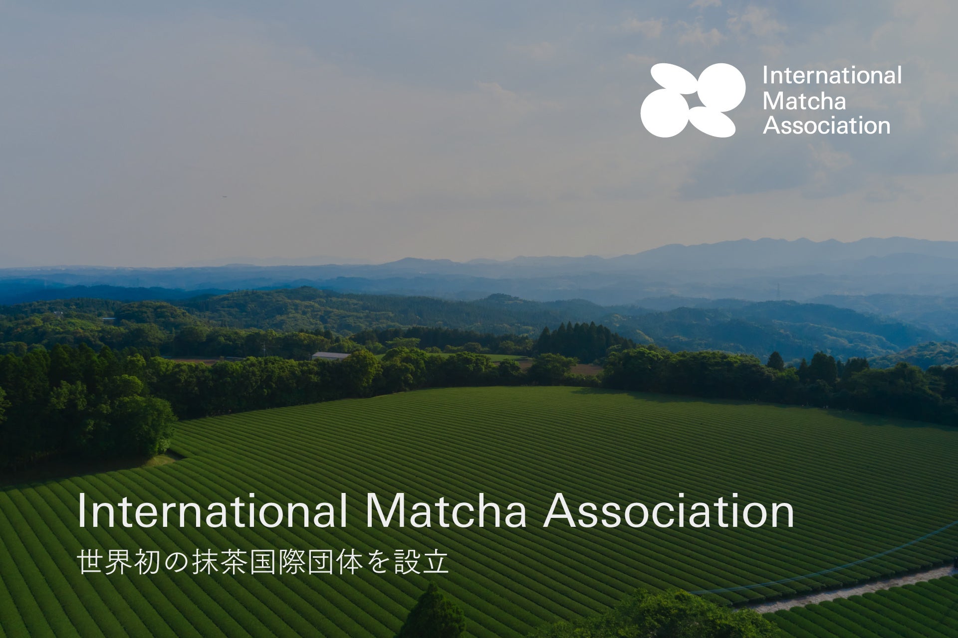 世界初、抹茶の国際団体「International Matcha Association」設立