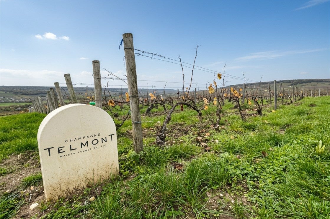 寺院文化×和菓子で新市場創出へ〜銀座鈴屋、寺活メディアと連携し共創プロジェクト始動〜