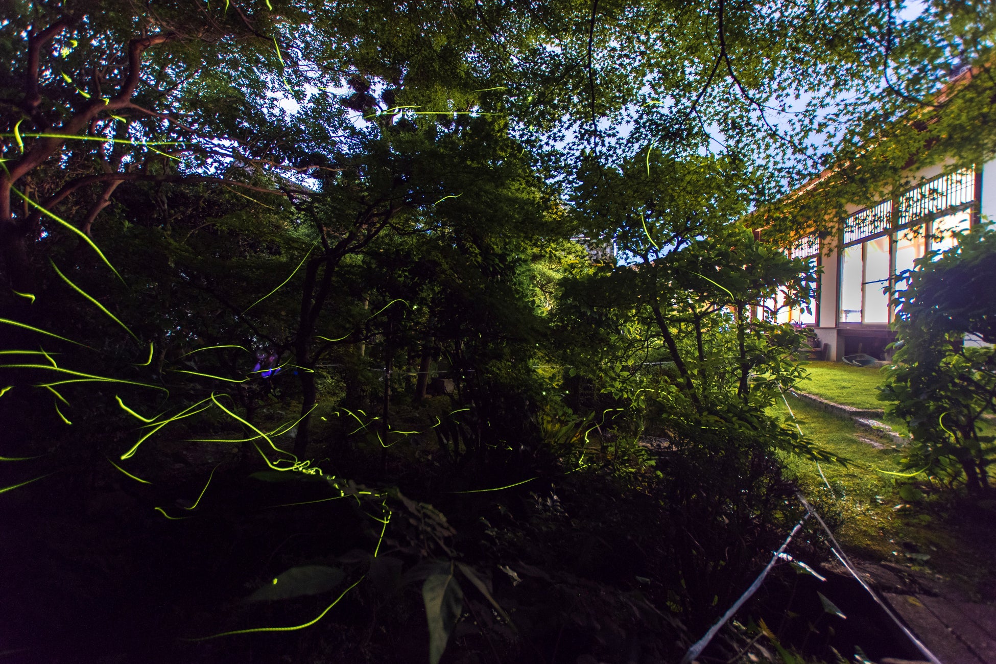 【和歌山県初】シニアが主役の“おむすび食堂” 田辺市紺屋町に誕生。「紺屋町 街仲食堂 by ジーバーFOOD」 4月22日オープン！